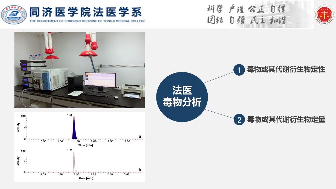 QY球友会体育