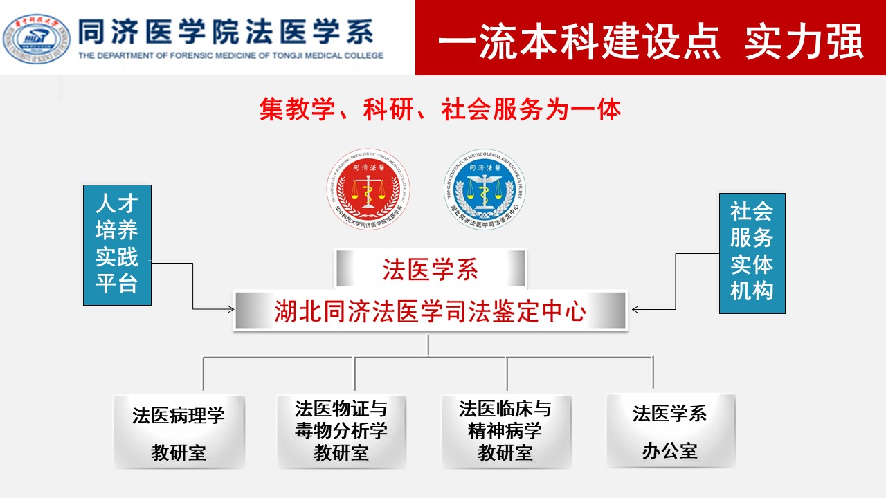 QY球友会体育