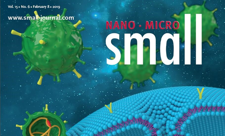 国际学术期刊Small发表QY球友会体育周亦武教授课题组研究成果