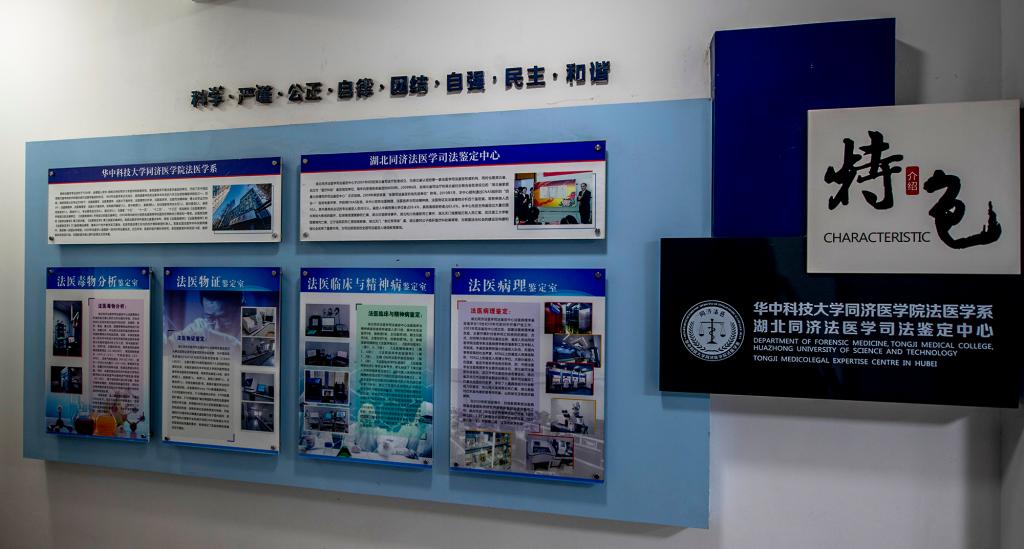 QY球友会体育