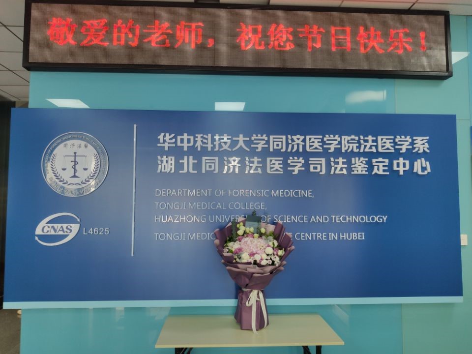 QY球友会体育