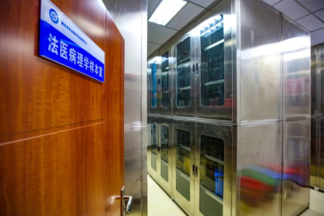 QY球友会体育