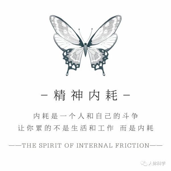 QY球友会体育