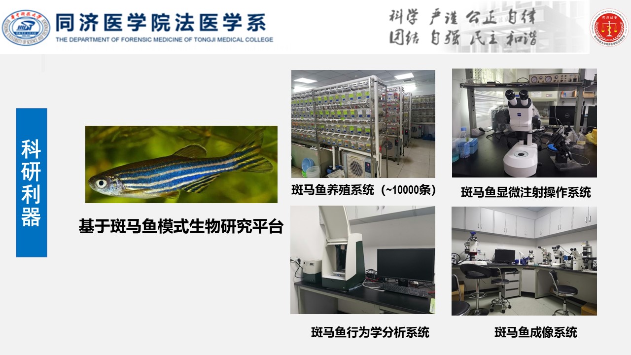 QY球友会体育