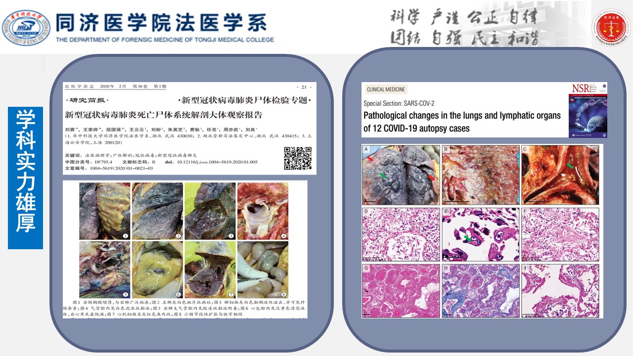 QY球友会体育