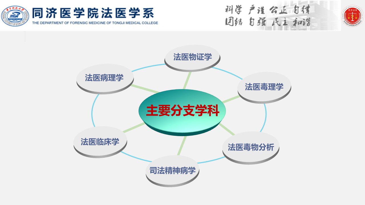 QY球友会体育
